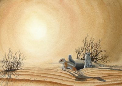 DesertSquirrels2