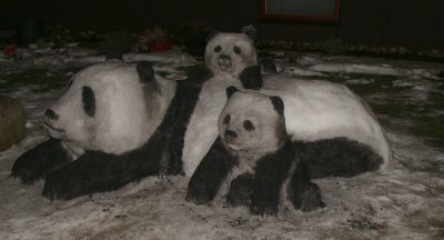 Pandas4