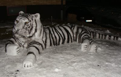 Tiger3