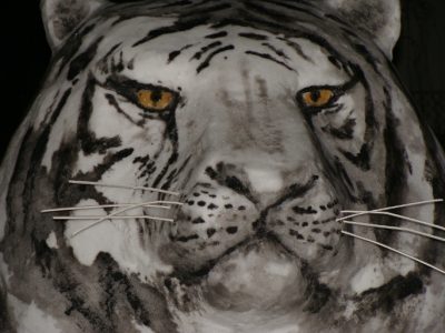 Tiger4